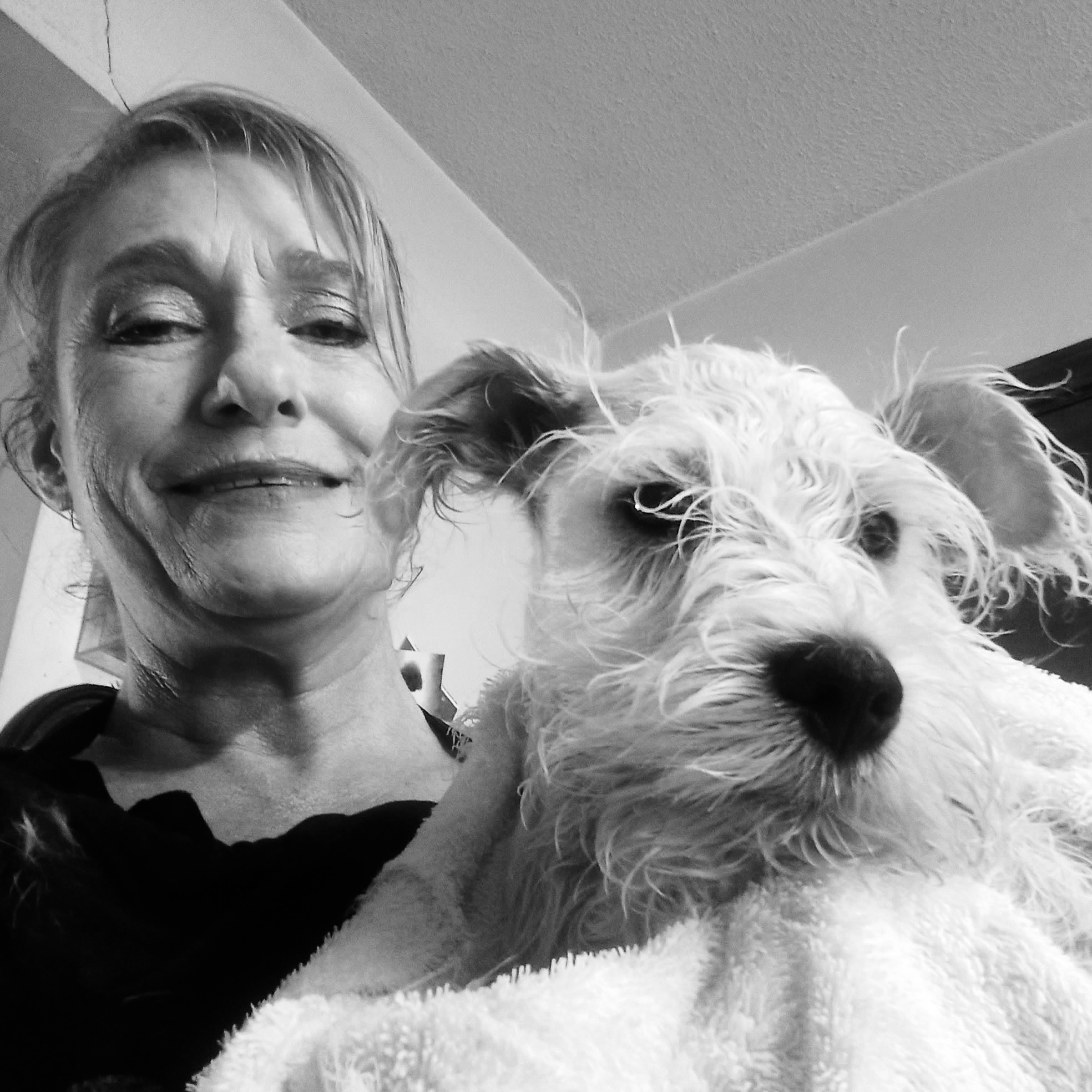 Christine, owner and certified groomer at Accent Pets